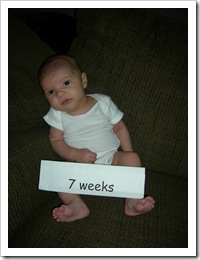7 wks 006