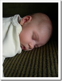 9 weeks 002