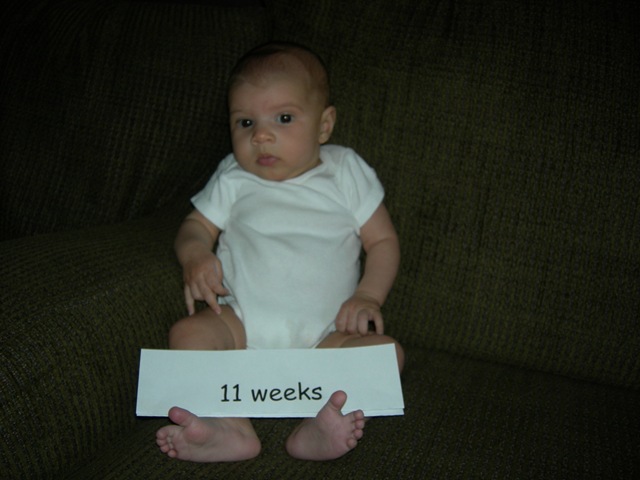 [11weeks0373.jpg]