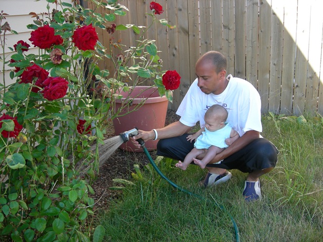 [20wks0083.jpg]