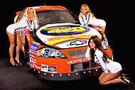 Nascar Racing pit babes