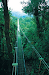Monteverde Experts Tour Operador