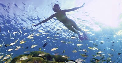 [snorkel[4].jpg]