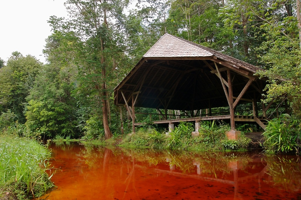 [DSC01161 ka[4].jpg]