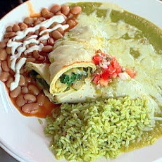 Vegetarian Enchilada