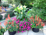 Toledo Zoo 2006 090.jpg