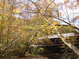 DSC07848.JPG