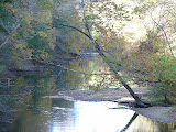 DSC07912.JPG