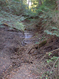 DSC07936.JPG