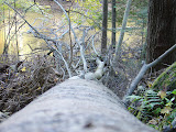 DSC07954.JPG