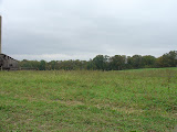 DSC09394.JPG