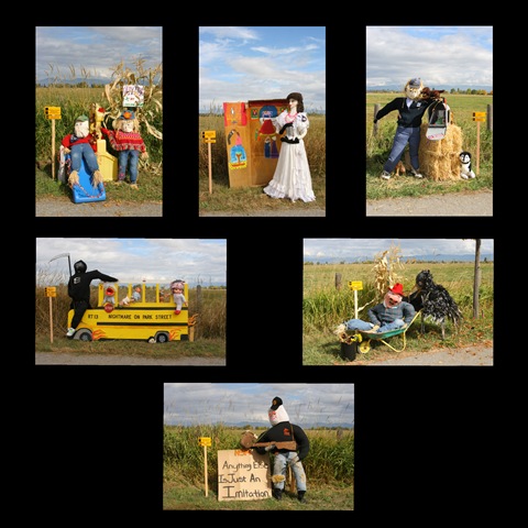 [Scarecrows 4[2].jpg]