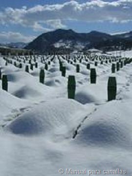 [cementerio-nevado[2].jpg]