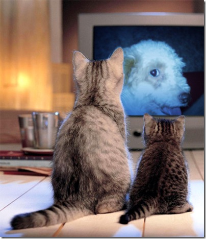 PhotoFunia_2d18