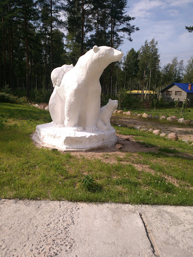 Белые Медведи