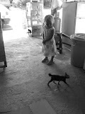 IMG_4409.JPG