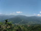 IMG_4420.JPG