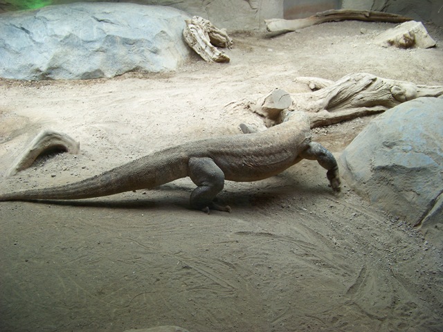 [20080502_08742.jpg]