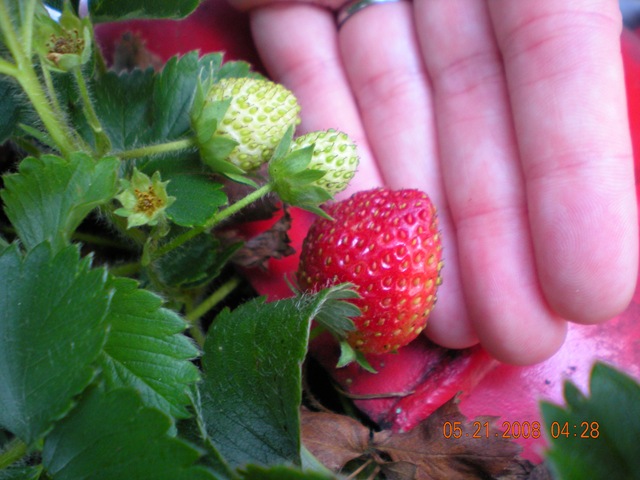 [summer 2008 008[3].jpg]