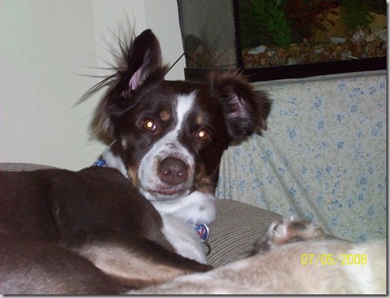 july 4 2008 031