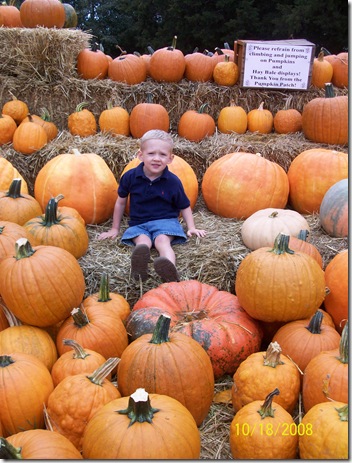 pumpkin patch 2008 013