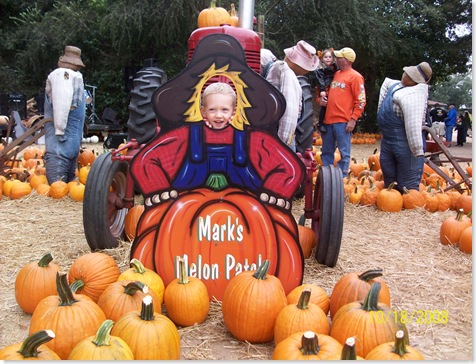pumpkin patch 2008 022