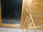 THE EYES HAVE IT