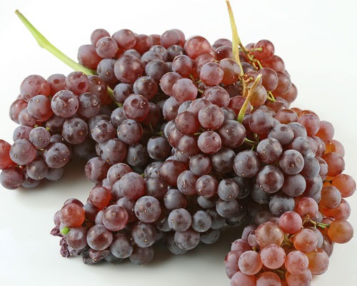 [champagnegrapes[3].jpg]