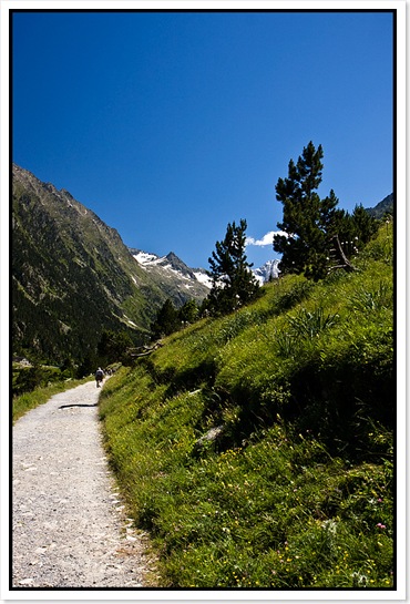 20080715_3483