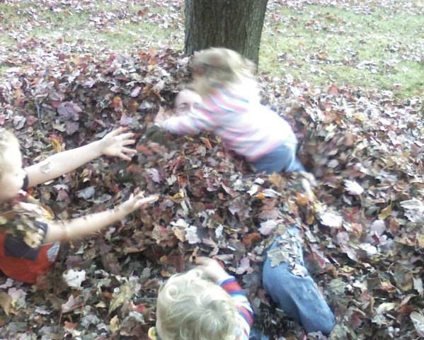 [1020081826a EML[5].jpg]