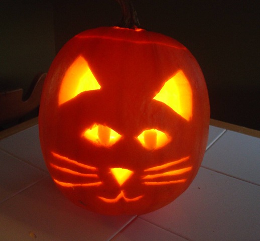 [DSC01442 Mandy pumpkin[4].jpg]