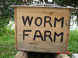 DSC01203.JPG