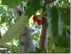 DSCF1257