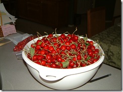 DSCF1250