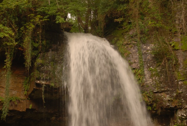 [DSC_0096[3].jpg]