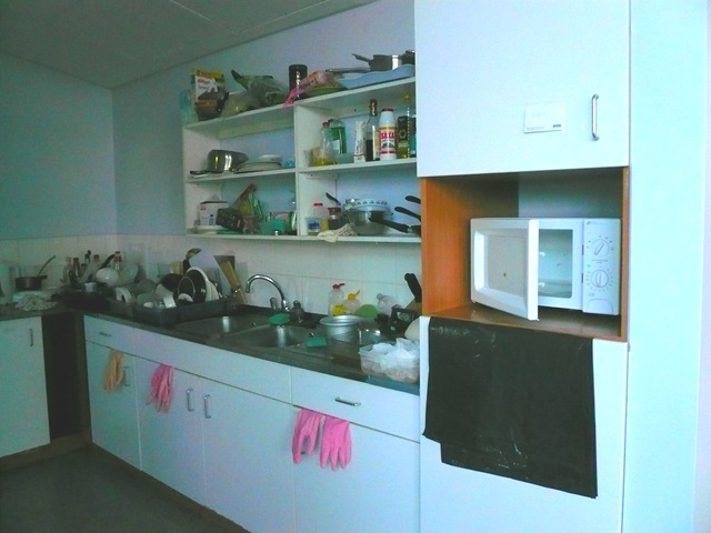 [P10600826.jpg]