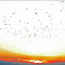 SOL (1096) copy.jpg