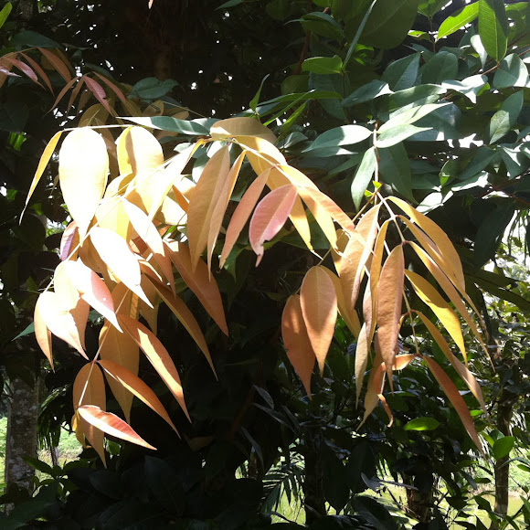 Spotting Image 1