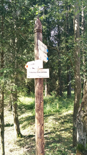 Tourist Direction Pole