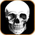 Strange Deaths – Fortean Times. Check out this Fascinating yet Bizarre app of Memorable departures