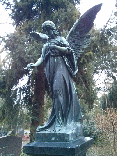 Engel im Südfriedhof