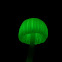 Bioluminescent Mushroom