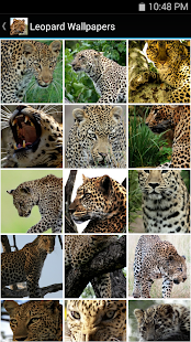 How to mod Leopard Wallpapers 1.0 mod apk for android