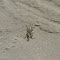Spotting 4