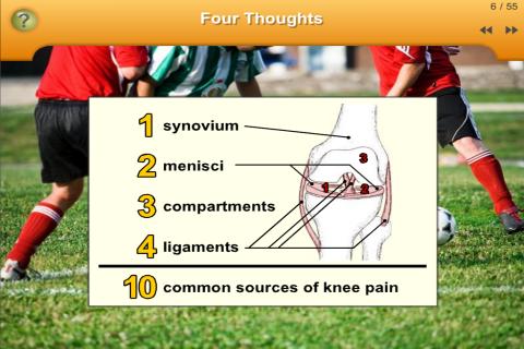 MendMyKnee.com - Anatomy of the knee (tibiofemoral) joint