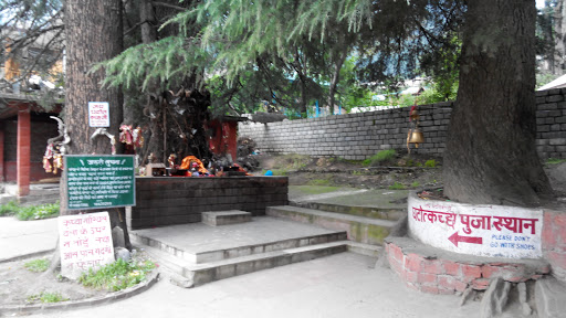 Gatodgaj Temple And Holy Tree