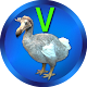 DoDo validator