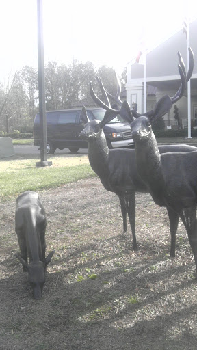 Adorable Bronze Family of Deer