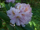 P1040407