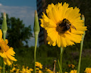 P1040420